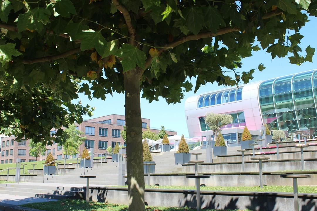 Neubau! Penthouseetage mit umlaufender Dachterrasse!