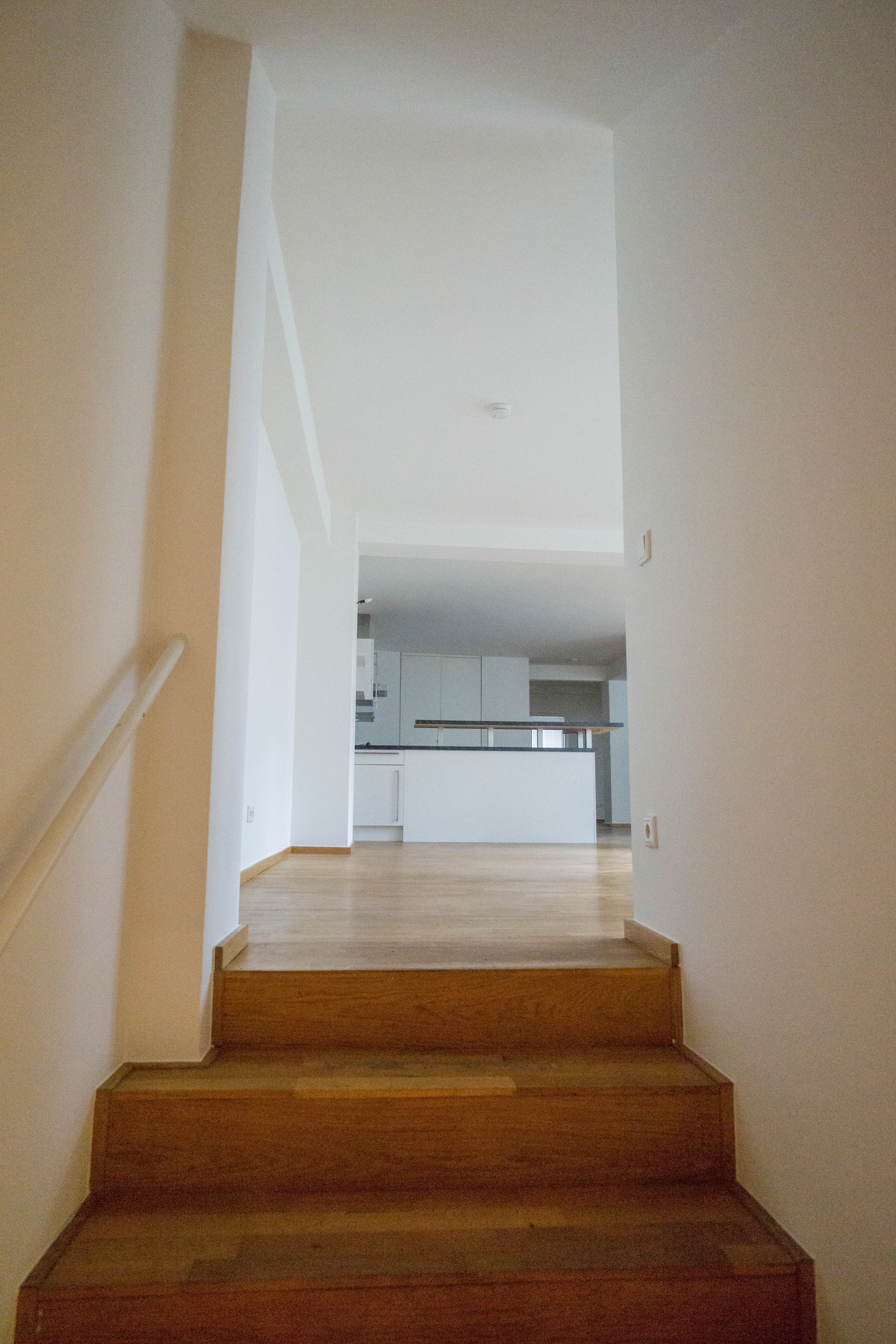 Haus im Haus - TOP-Wohnen in ruhiger und zentraler Lage in der Düsseldorfer-Innenstadt