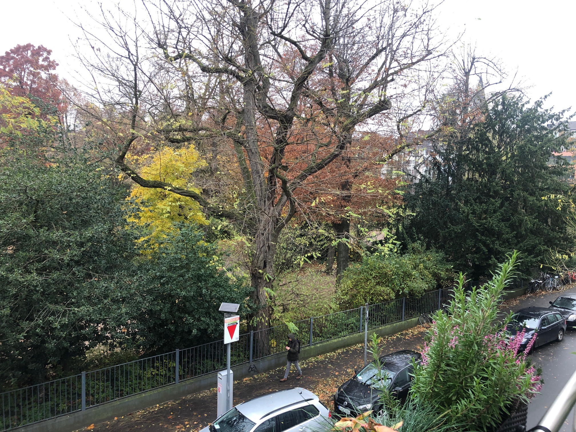 Sehr schöne 2-Zimmer-Singlewohnung mit Blick in den Floragarten!