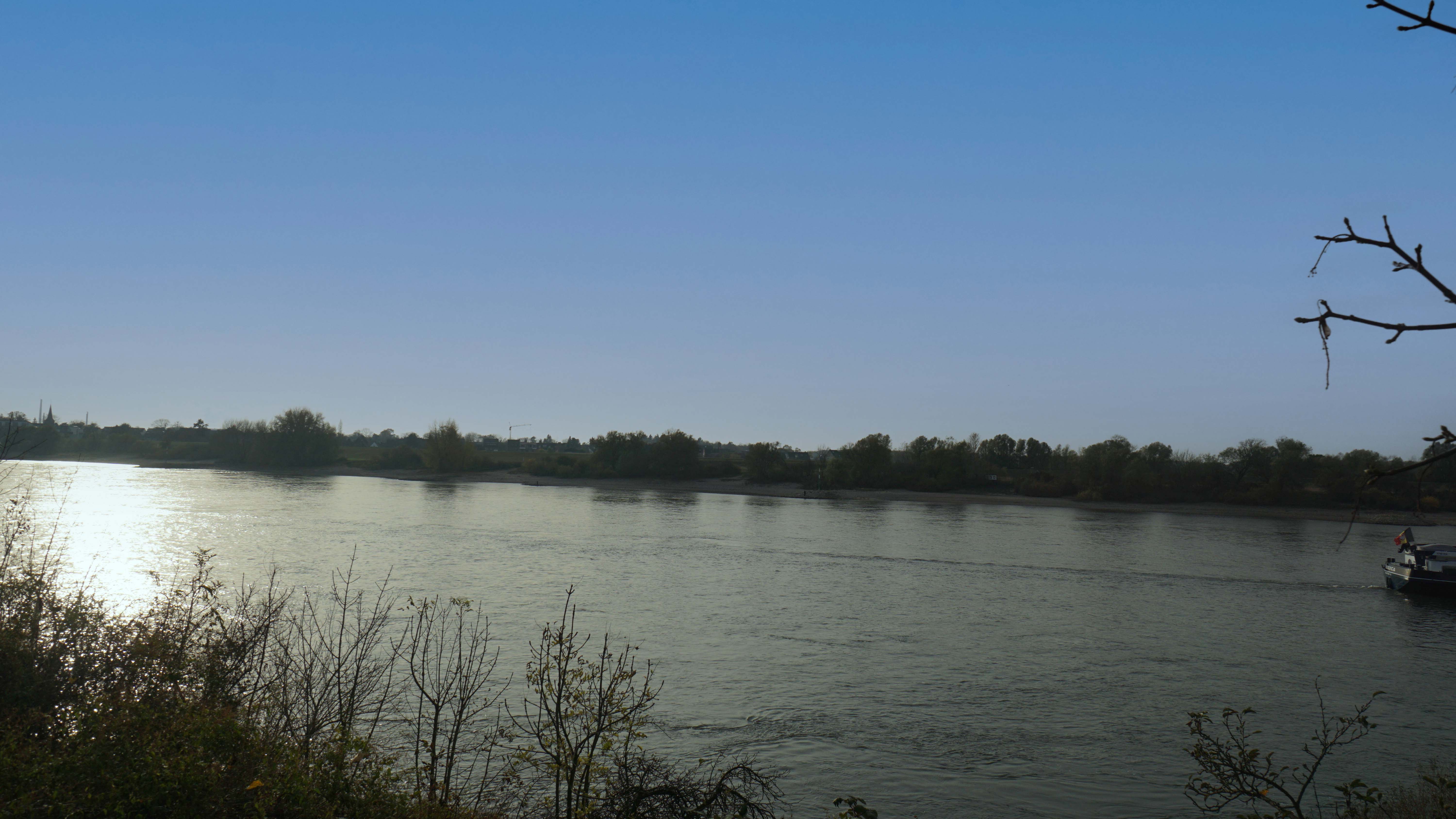 Himmlischer Ausblick auf den Rhein! Mondän & vielfälig & idyllisch wohnen wie im eigenen Haus