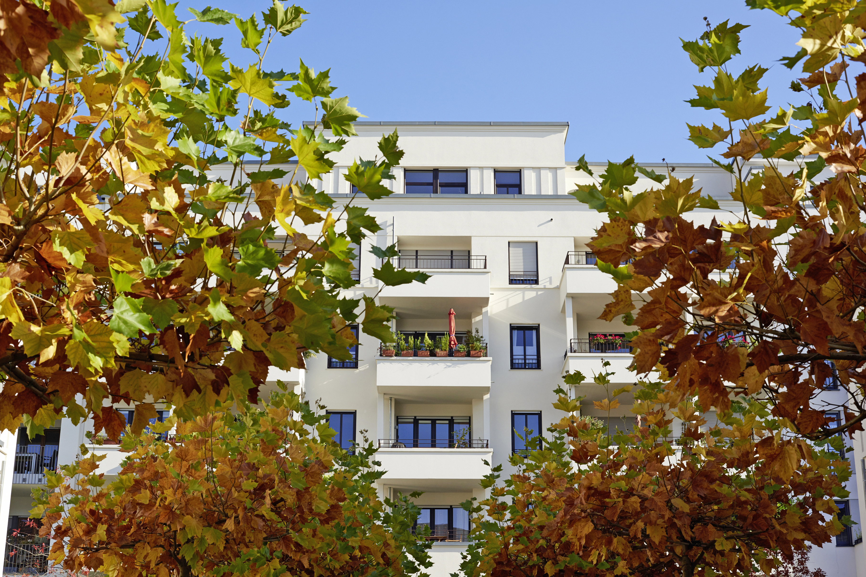 Traumwohnung in Traumlage als perfektes Investment für Sie!