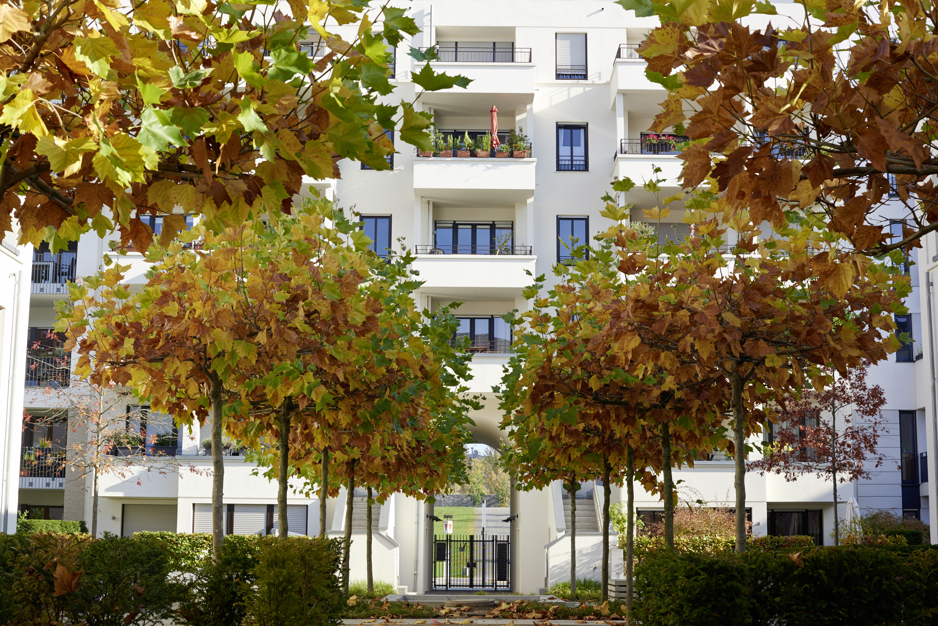 Traumwohnung in Traumlage als perfektes Investment für Sie!