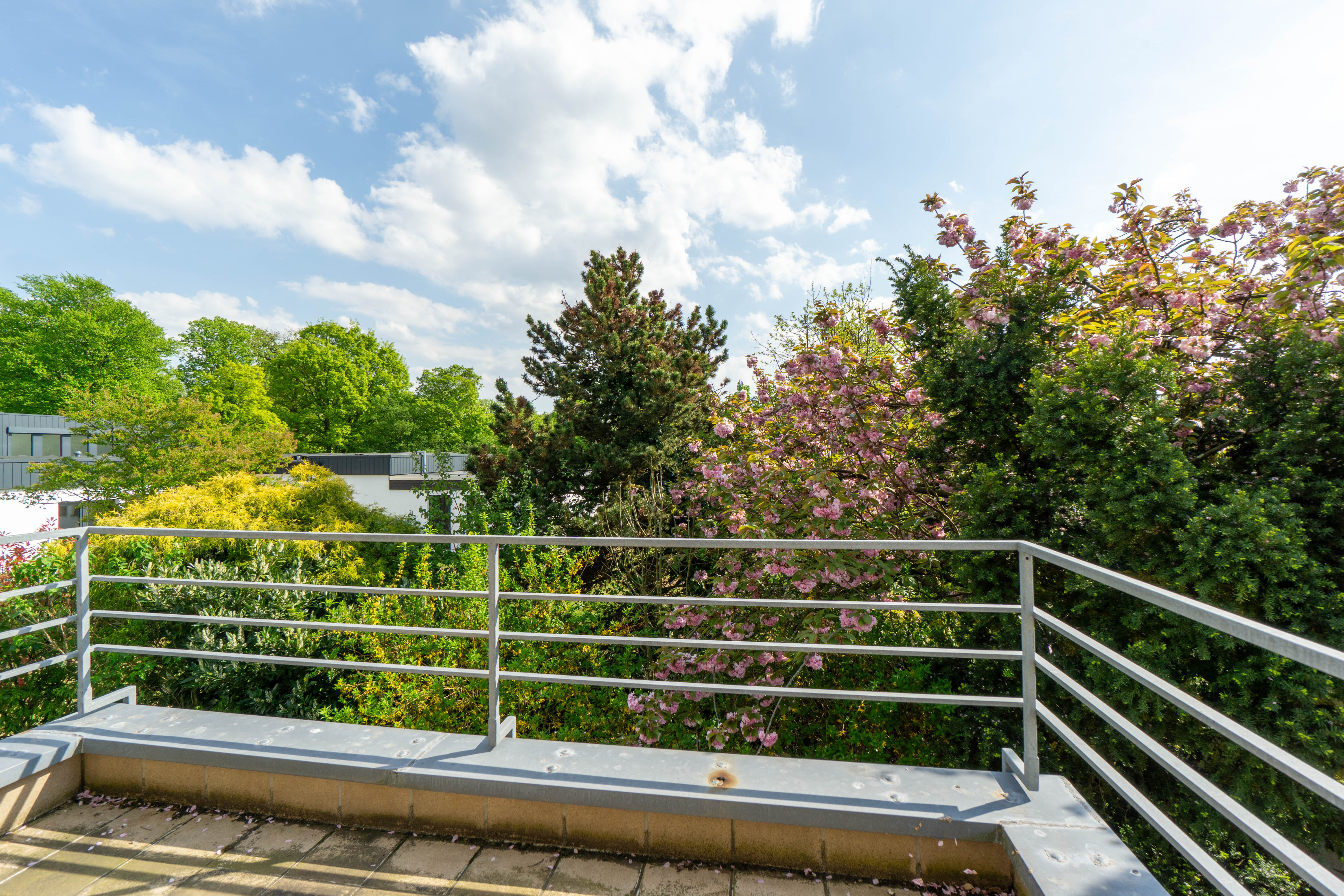 Zwischen Rhein und Geschichte: Ein Juwel in der weißen Siedlung / Nordparksiedlung