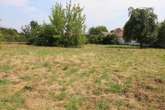 großen Baugrundstück (teilbar) mit Abrißhaus und Nebengebäuden im Ortsteil der Spreewaldstadt Lübbenau