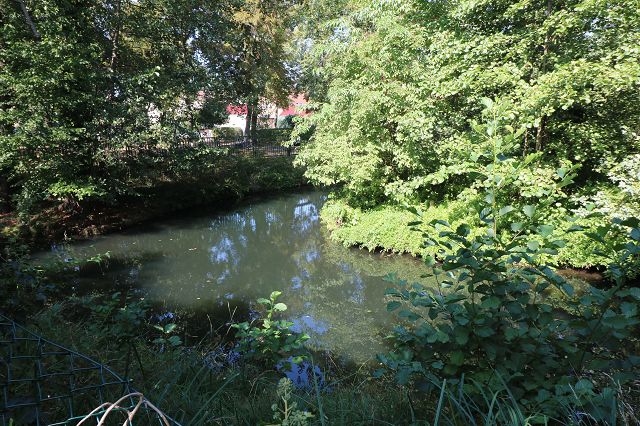 Wohnen und arbeiten auf einem Grundstück mit direktem Wasserzugang
