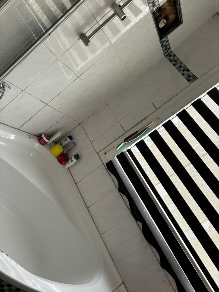 Sie suchen als Single oder Paar eine stadtnahe Wohnung?