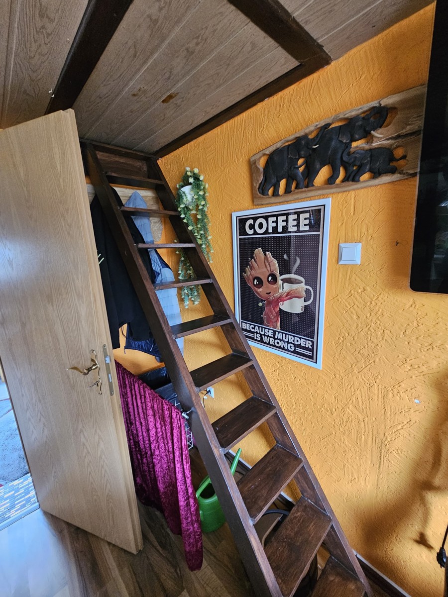 PROVISIONSFREI | Großzügiges EFH mit traumhafter Dachterrasse, Werkstatt & Baulandoption