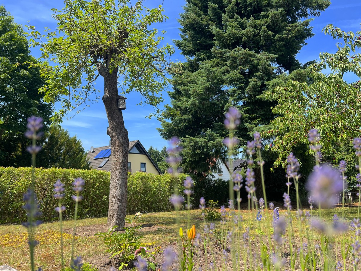 RESERVIERT | PROVISIONSFREI |
Bungalow mit Wintergarten & Garage; grüne und beliebte Wohngegend
