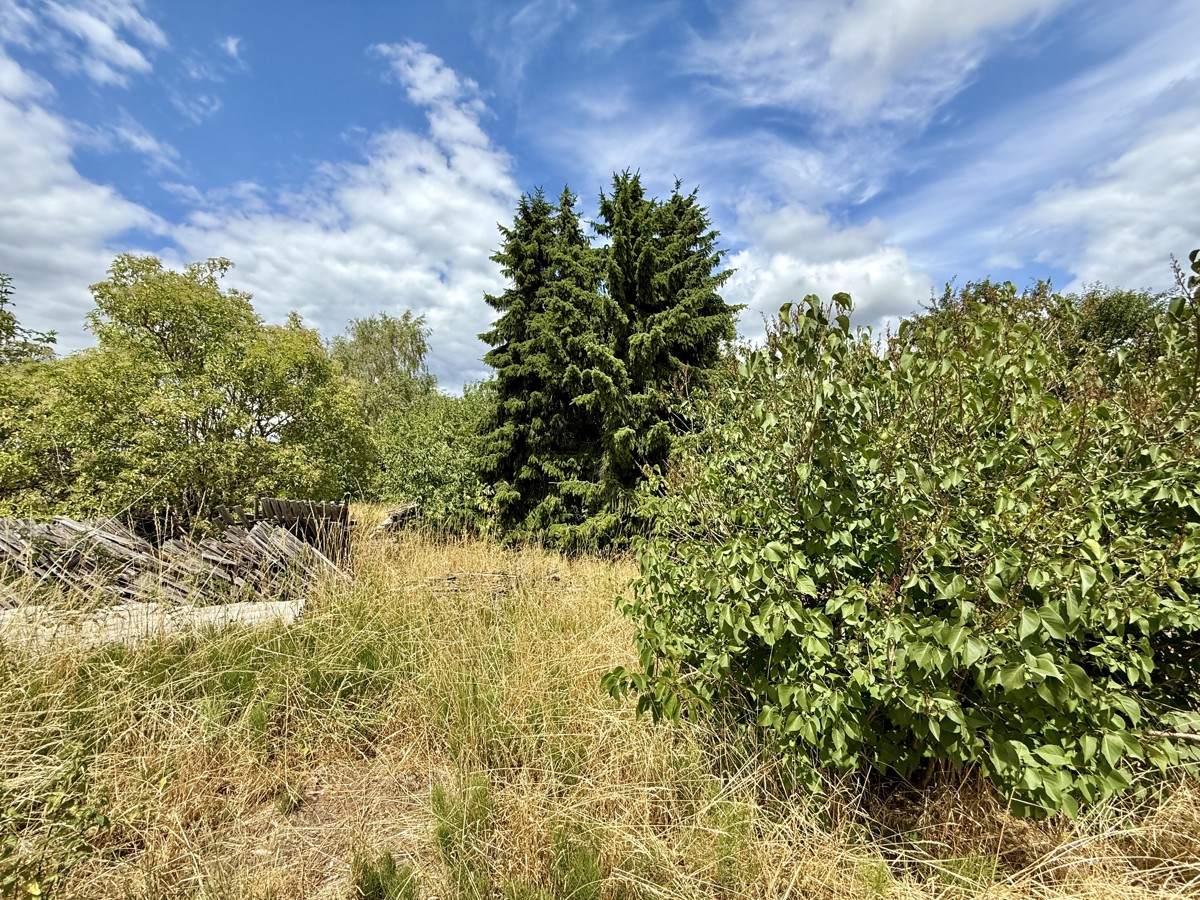 PROVISIONSFREI | Baugrundstück für Ihr TRAUMHAUS mit 5221 qm Grundstück und Feldblick!