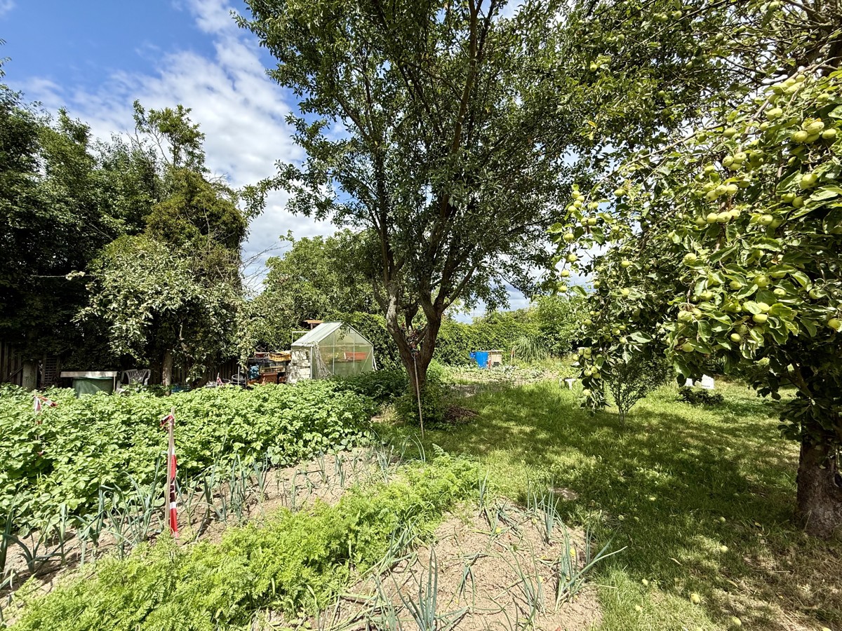 PROVISIONSFREI | Baugrundstück für Ihr TRAUMHAUS mit 5221 qm Grundstück und Feldblick!