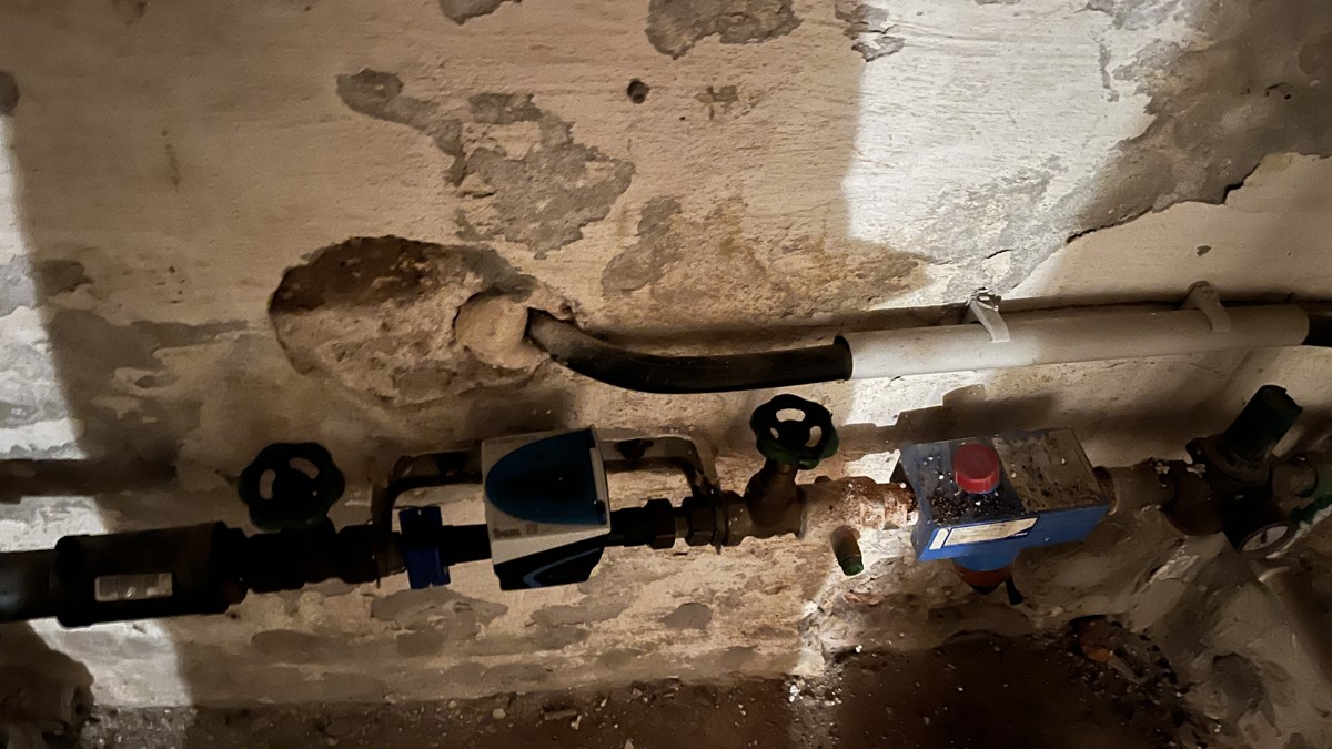 PROVISIONSFREI |NEUER PREIS | Charmantes Stadthaus in Kemberg - ideal für Familien, zentral gelegen