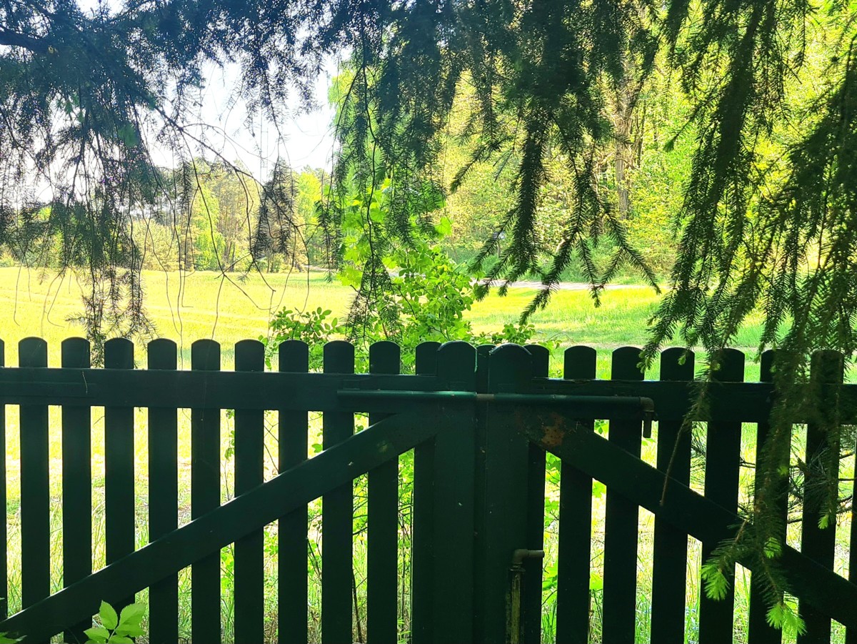 PROVISIONSFREI|Naturparadies Rheinsberg: 35m² Bungalow, 2155m² Freizeitgrundstück, Nähe zu zwei Seen