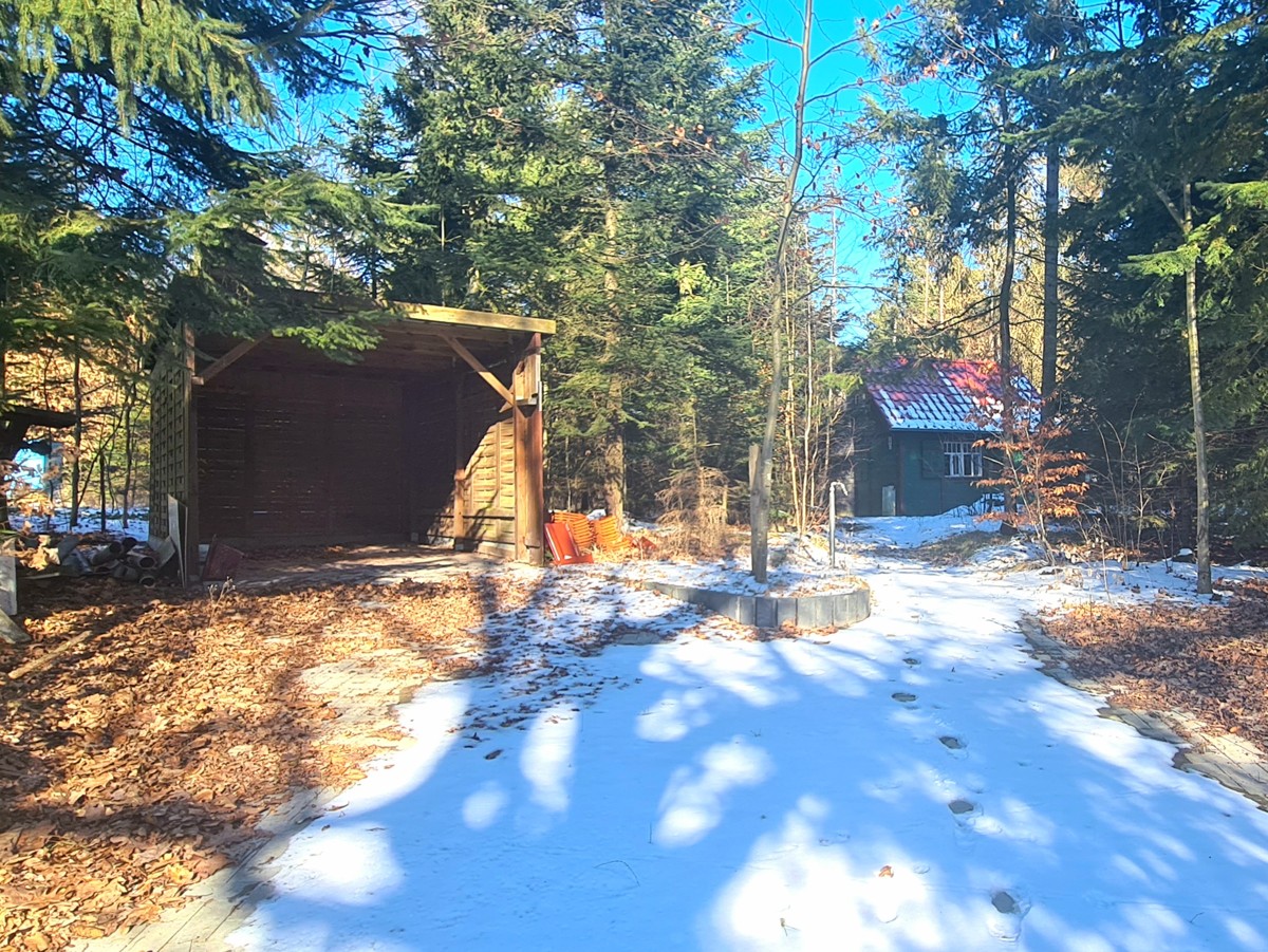 FINALER PREIS + PROVISIONSFREI | 25.000qm Grundstück mit Rohbau-Bungalow, Garage und Forsthaus