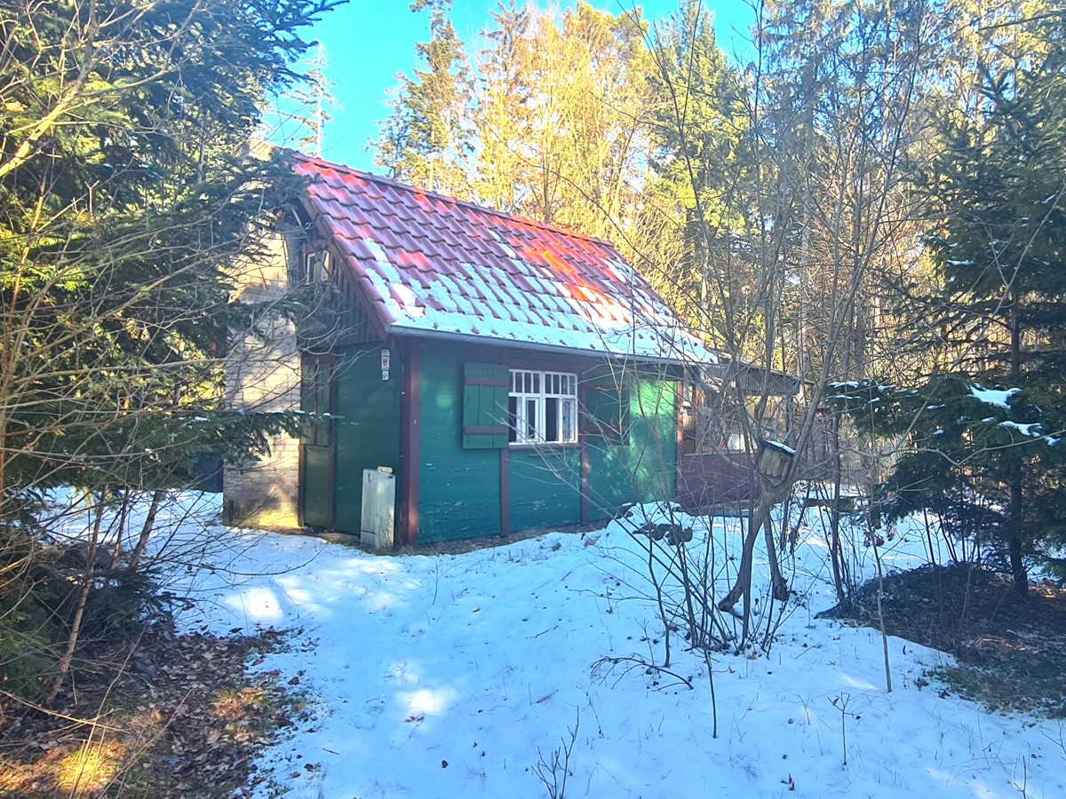 FINALER PREIS + PROVISIONSFREI | 25.000qm Grundstück mit Rohbau-Bungalow, Garage und Forsthaus