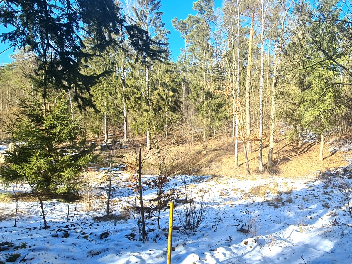 FINALER PREIS + PROVISIONSFREI | 25.000qm Grundstück mit Rohbau-Bungalow, Garage und Forsthaus