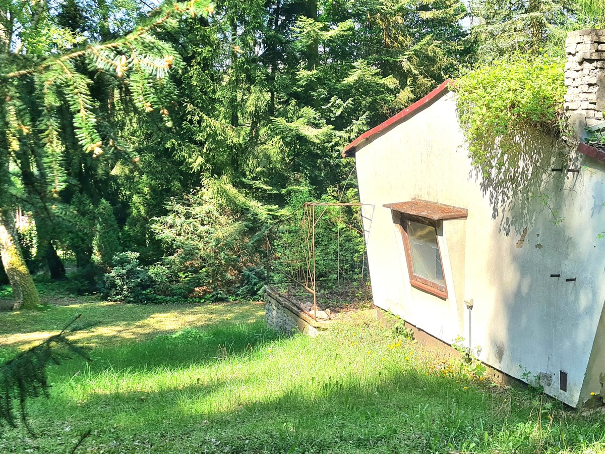 RESERVIERT|Naturparadies Rheinsberg: 35m² Bungalow, 2155m² Freizeitgrundstück, Nähe zu zwei Seen