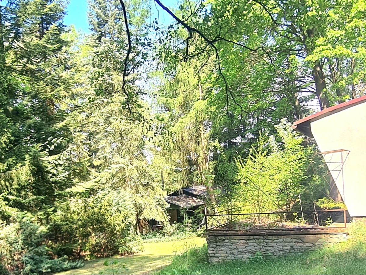 RESERVIERT|Naturparadies Rheinsberg: 35m² Bungalow, 2155m² Freizeitgrundstück, Nähe zu zwei Seen