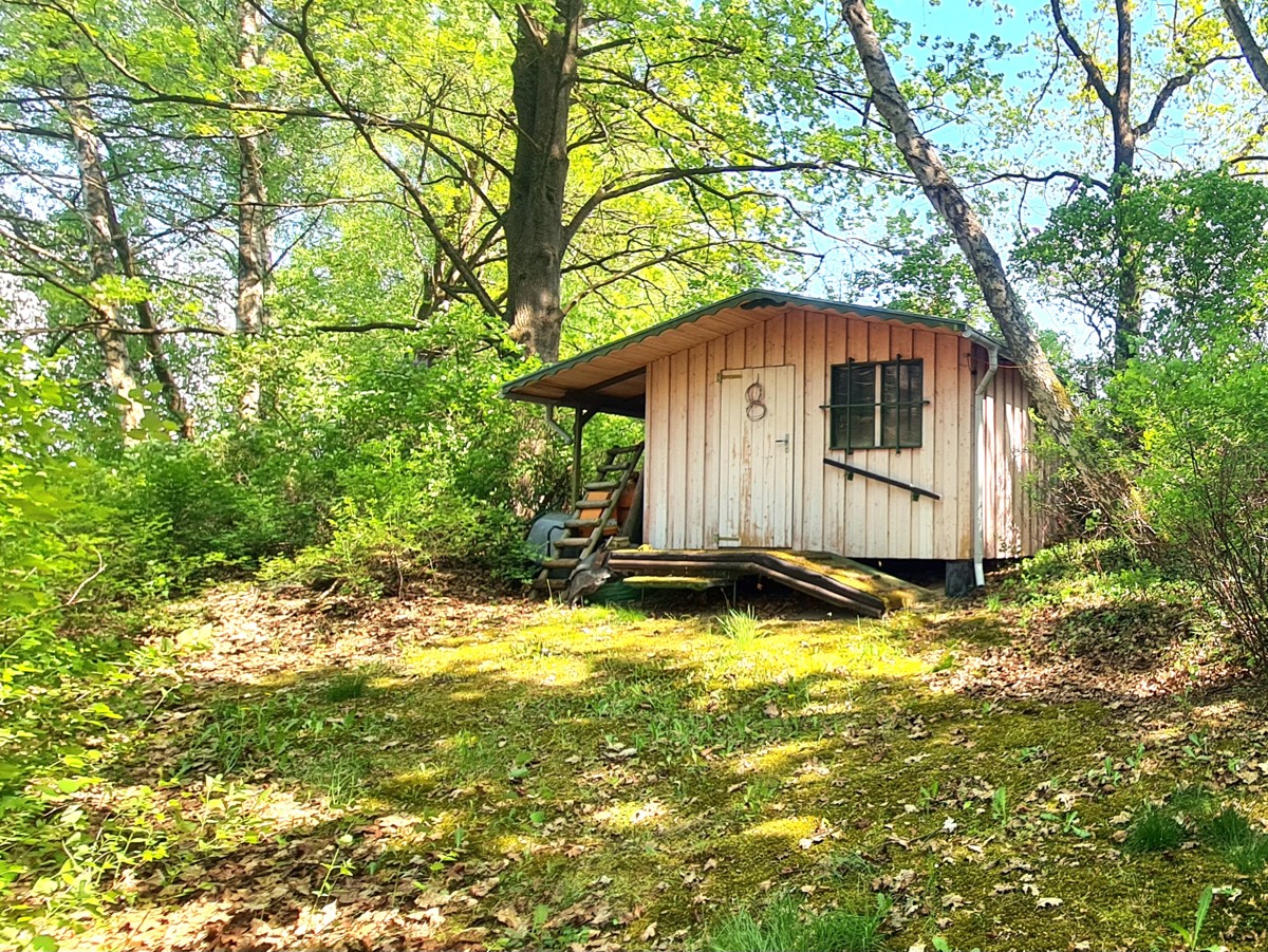RESERVIERT|Naturparadies Rheinsberg: 35m² Bungalow, 2155m² Freizeitgrundstück, Nähe zu zwei Seen