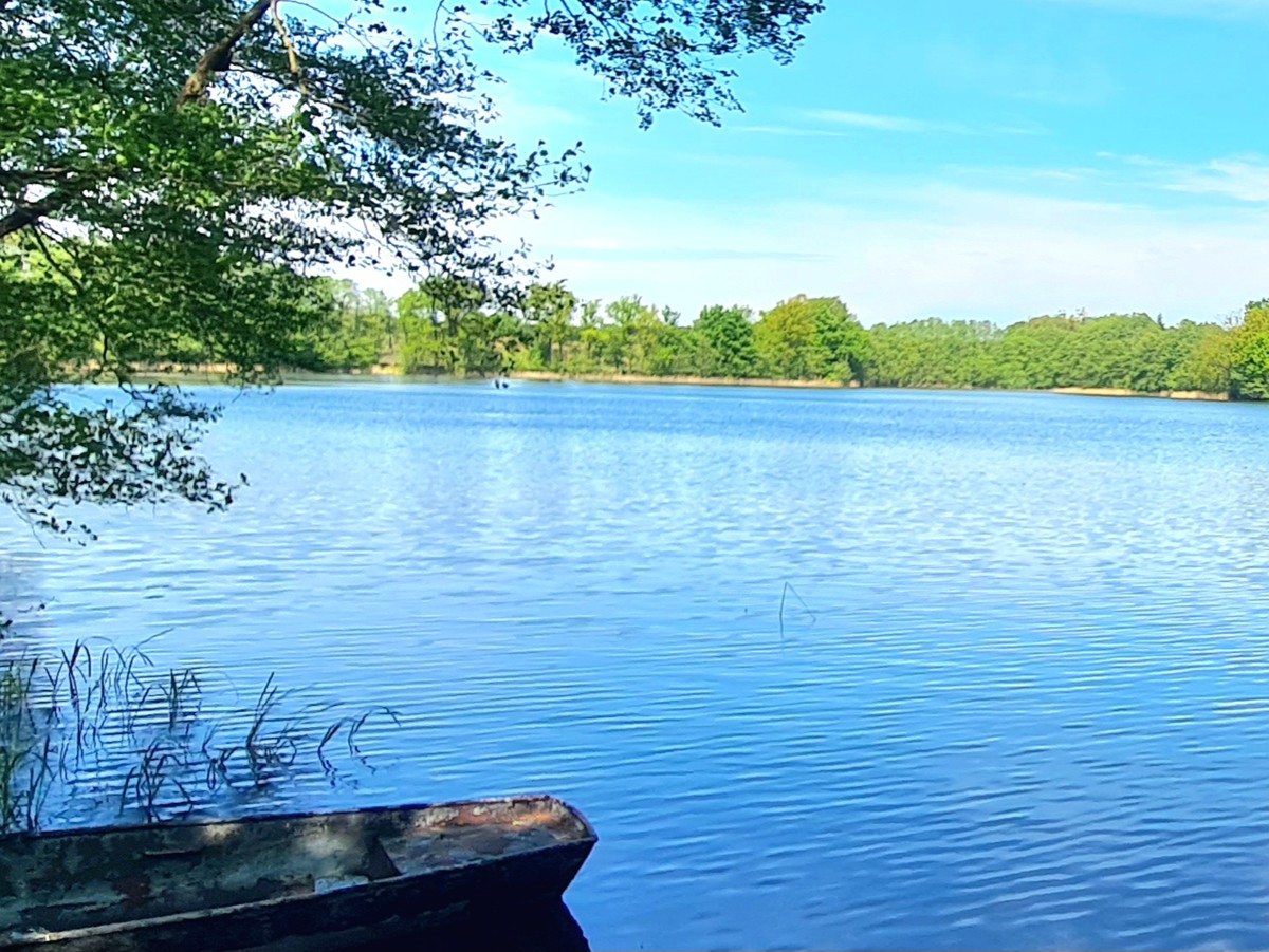 RESERVIERT|Naturparadies Rheinsberg: 35m² Bungalow, 2155m² Freizeitgrundstück, Nähe zu zwei Seen