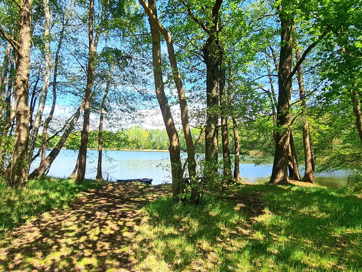 RESERVIERT|Naturparadies Rheinsberg: 35m² Bungalow, 2155m² Freizeitgrundstück, Nähe zu zwei Seen