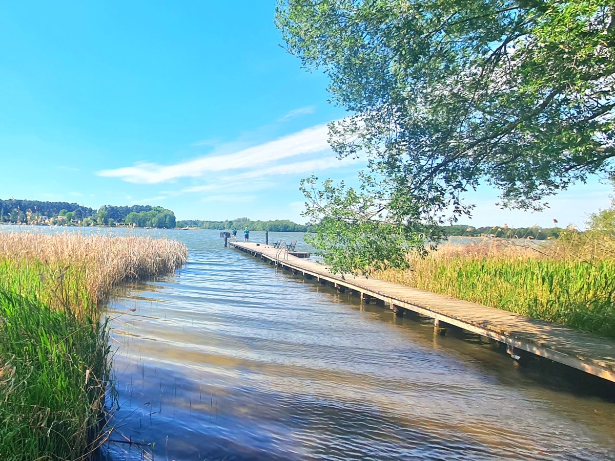 RESERVIERT|Naturparadies Rheinsberg: 35m² Bungalow, 2155m² Freizeitgrundstück, Nähe zu zwei Seen