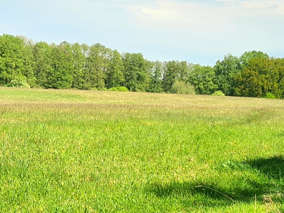 RESERVIERT|Naturparadies Rheinsberg: 35m² Bungalow, 2155m² Freizeitgrundstück, Nähe zu zwei Seen