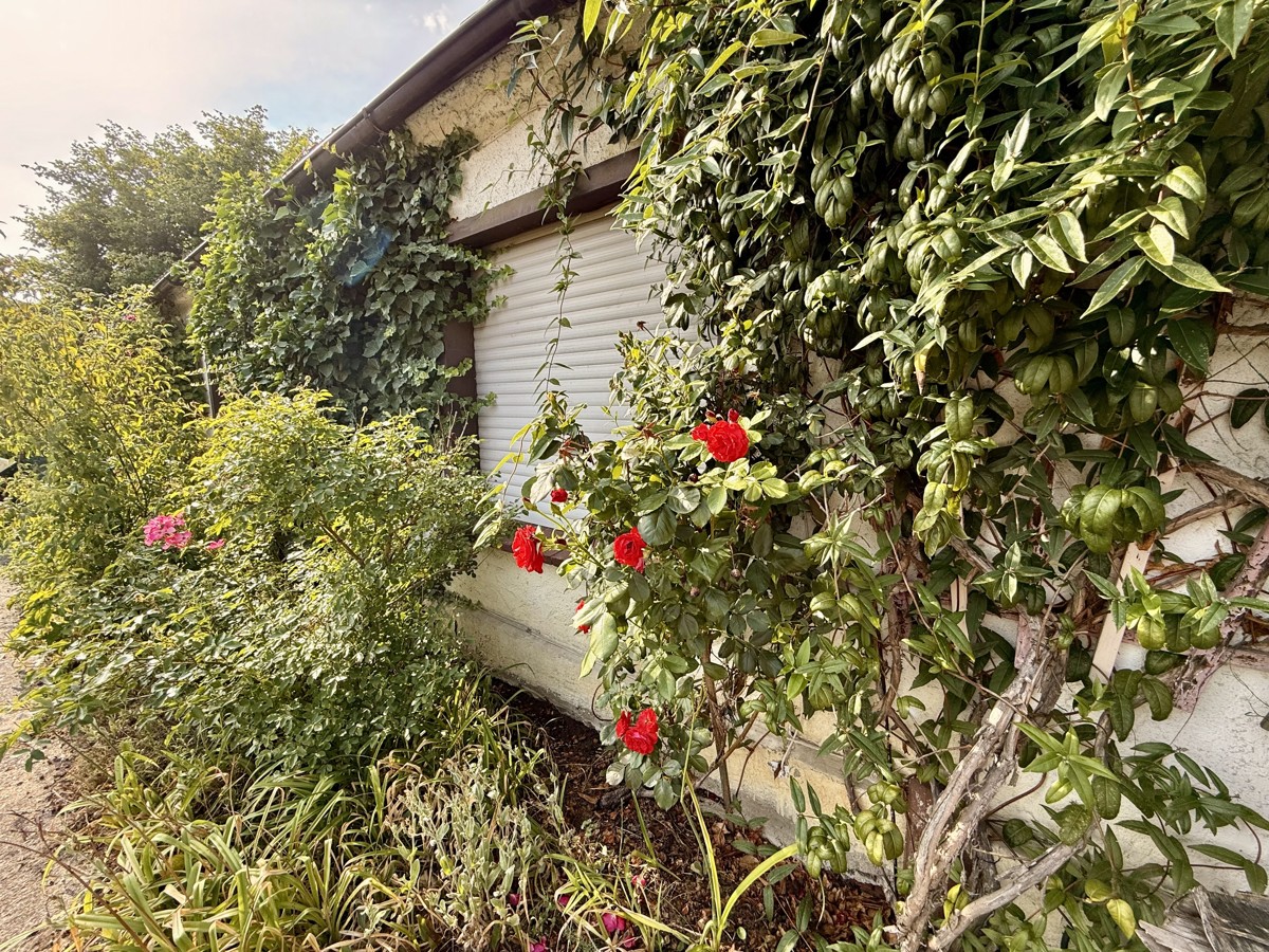 BESONDERE GELEGENHEIT IN COTTBUS | Kleines Haus mit tollen Grundstück- ab sofort verfügbar!