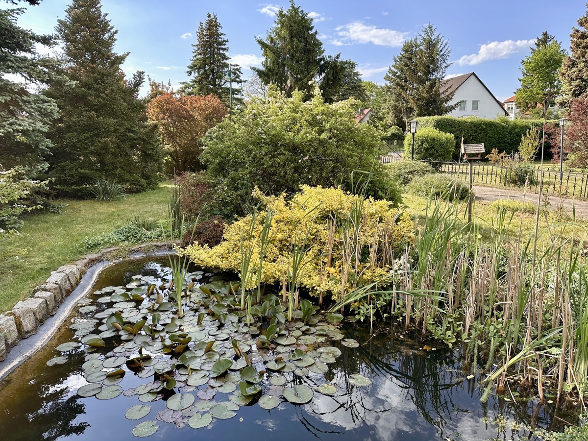 LETZTER PREIS| Einfamilienhaus mit 3 Zimmer zum sanieren und wohlfühlen!