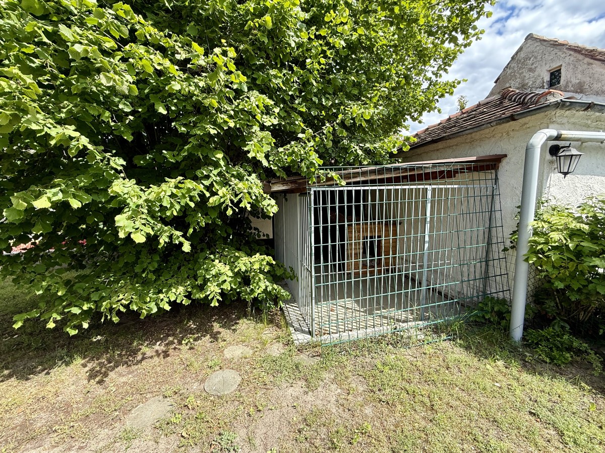 BUNGALOW IN COTTBUS | Großzügiges Einfamilienhaus im TOP Zustand mit 715qm Grundstück!