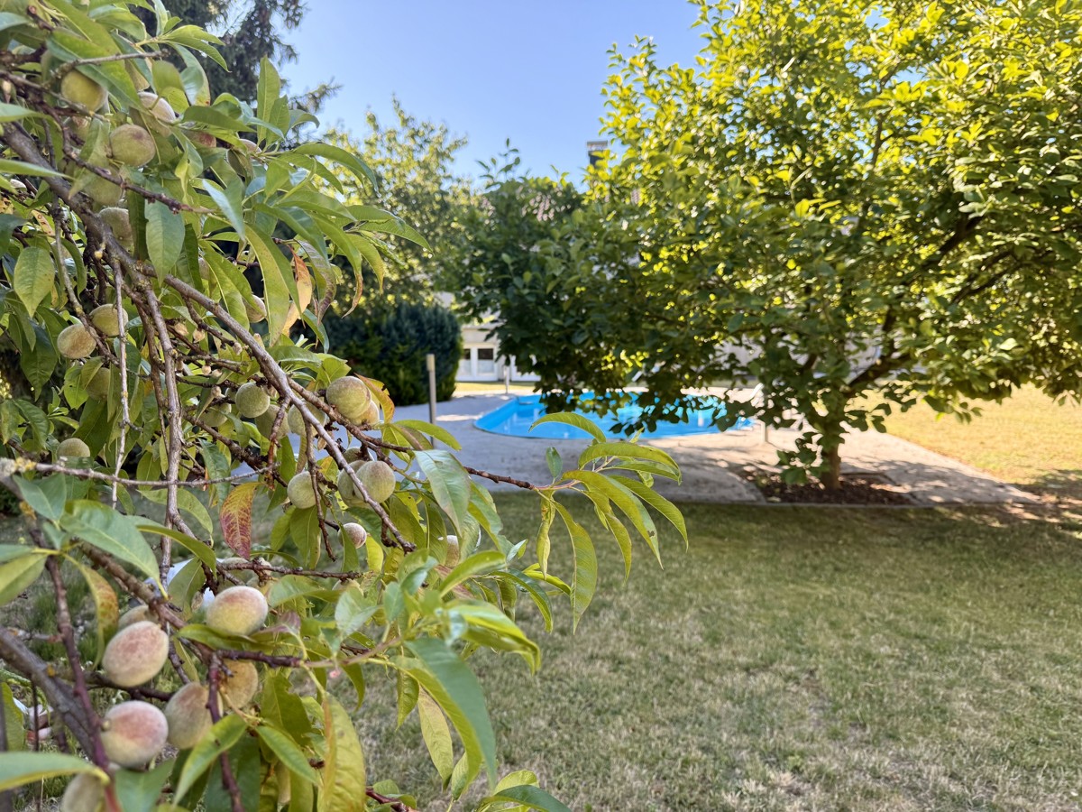 FAMILIENFREUNDLICHER BUNGALOW | Pool + Grundstück + Sauna + viel Platz und Komfort!