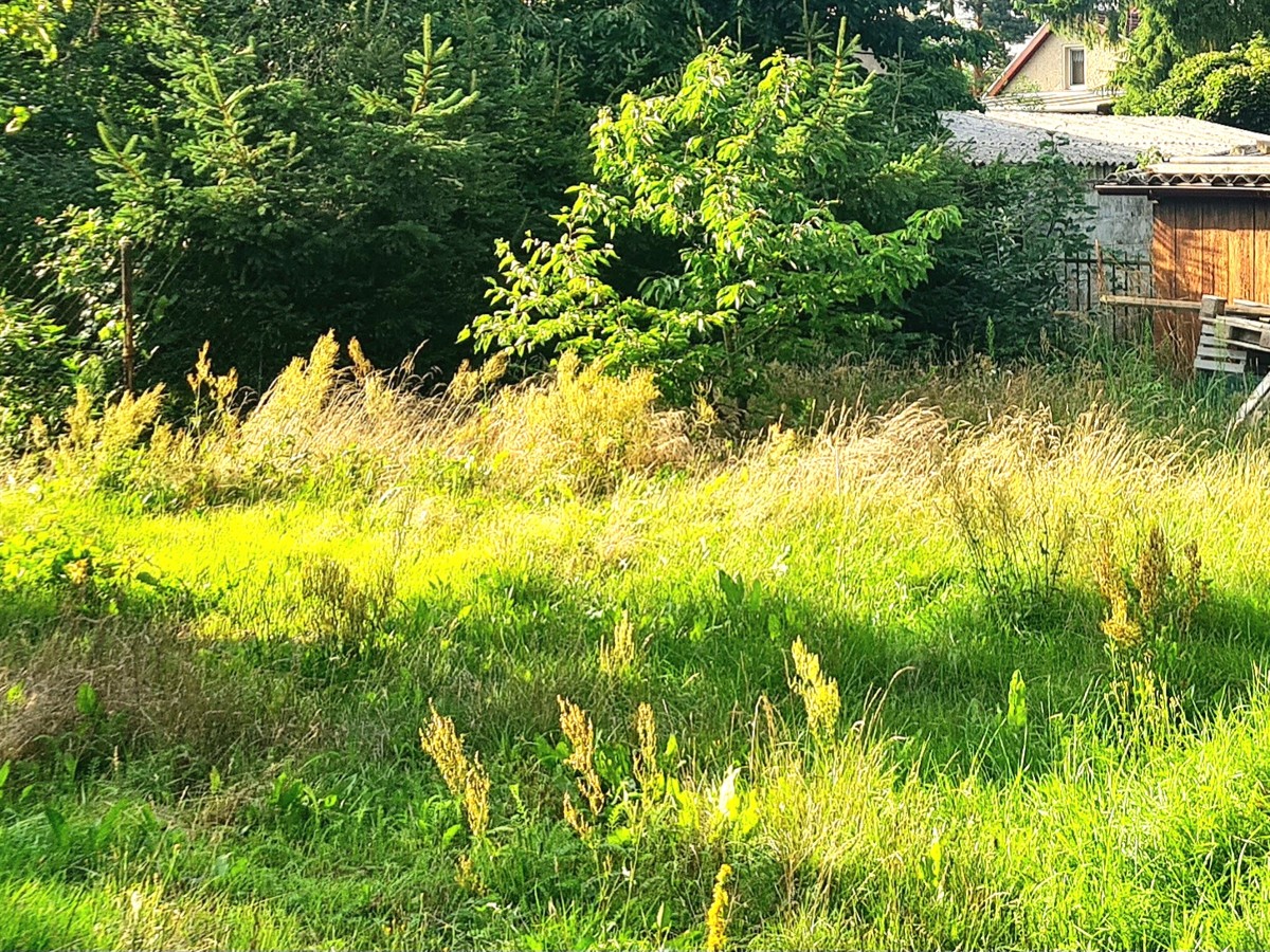 FINALER PREIS | PROVISIONSFREI | Bungalow Handwerkerobjekt auf Baugrundstück zum Bodenrichtwert