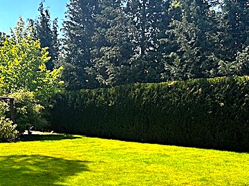 PROVISIONSFREI | Exklusive STADTVILLA in bevorzugter ruhiger Wohnlage mit vielen EXTRAS !