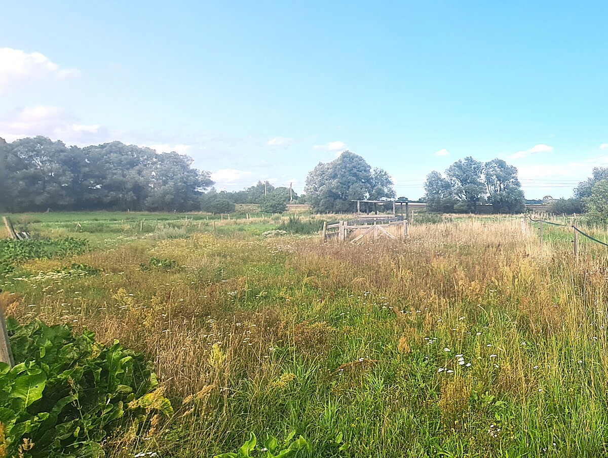 NEUER PREIS |PROVISIONSFREI | Großzügiger Vierseitenhof auf 15 000m² Grundstück mit viel Potential