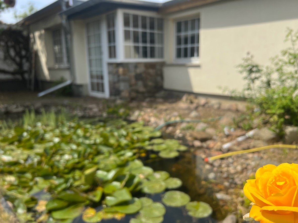 PROVISIONSFREI |133 m² Doppelhaushälfte mit Garage, Kamin, Pool, Teich auf 755m² Grundstück