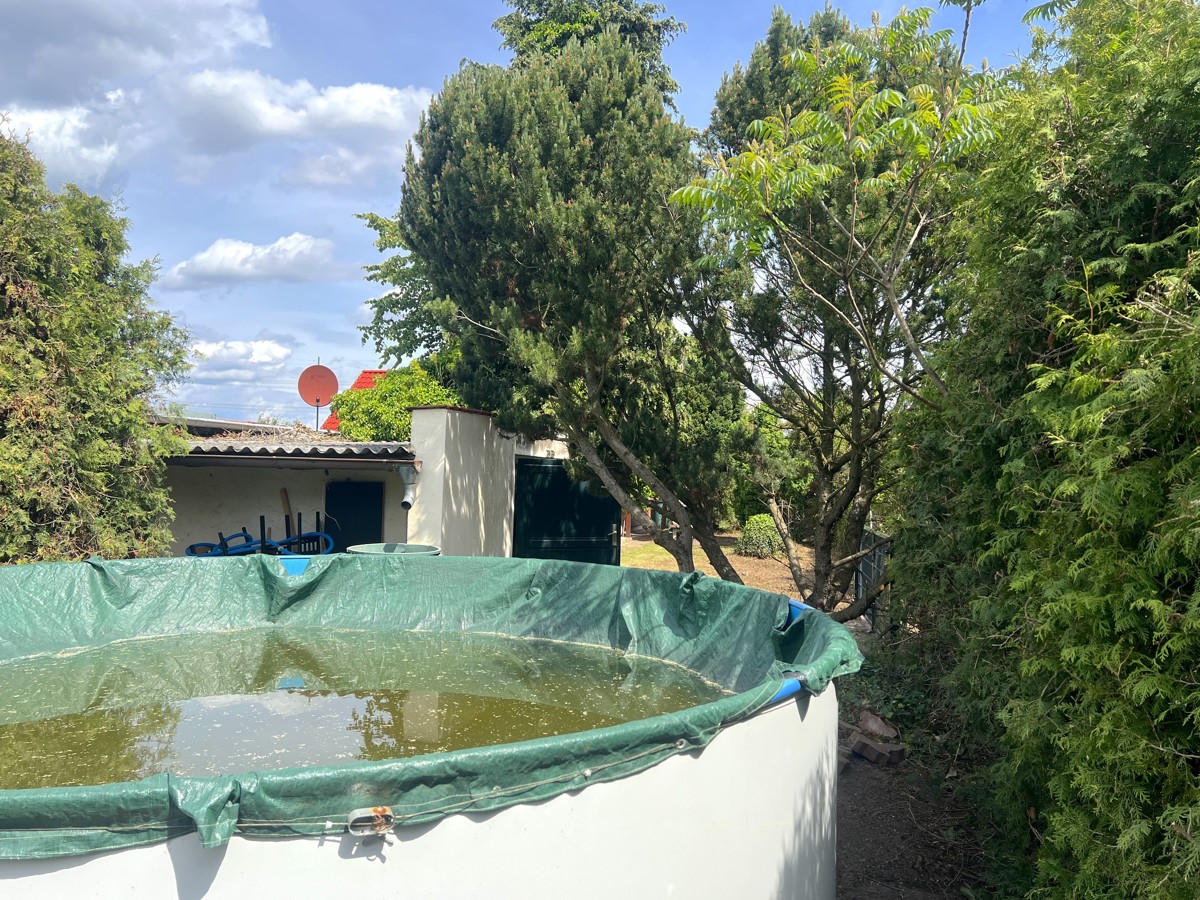 PROVISIONSFREI |133 m² Doppelhaushälfte mit Garage, Kamin, Pool, Teich auf 755m² Grundstück