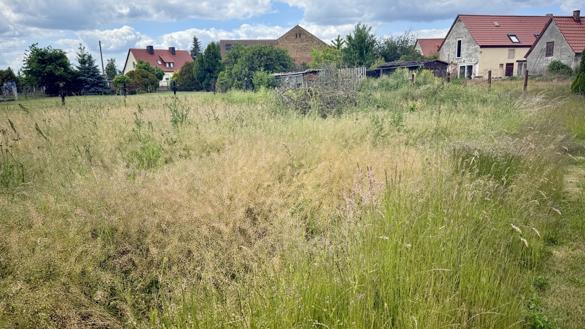 Reserviert|4.000 m² Traumgrundstück! Sanierungsobjekt mit Potenzial in ruhiger Dorflage