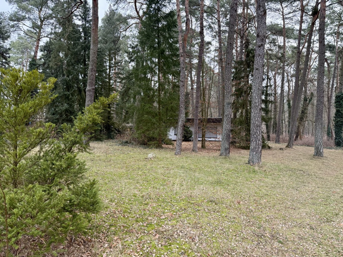 PROVISIONSFREI| Großzügiges Waldgrundstück in ruhiger Lage – ohne Bauträgerbindung!