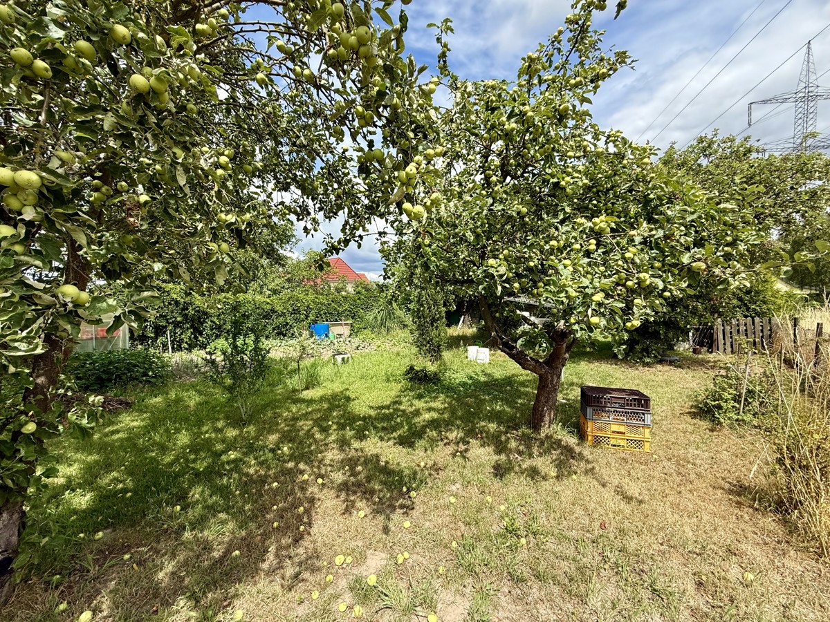 PROVISIONSFREI | Zentrumsnahes Baugrundstück nahe Berlin – ruhig wohnen, zentral erreichbar!