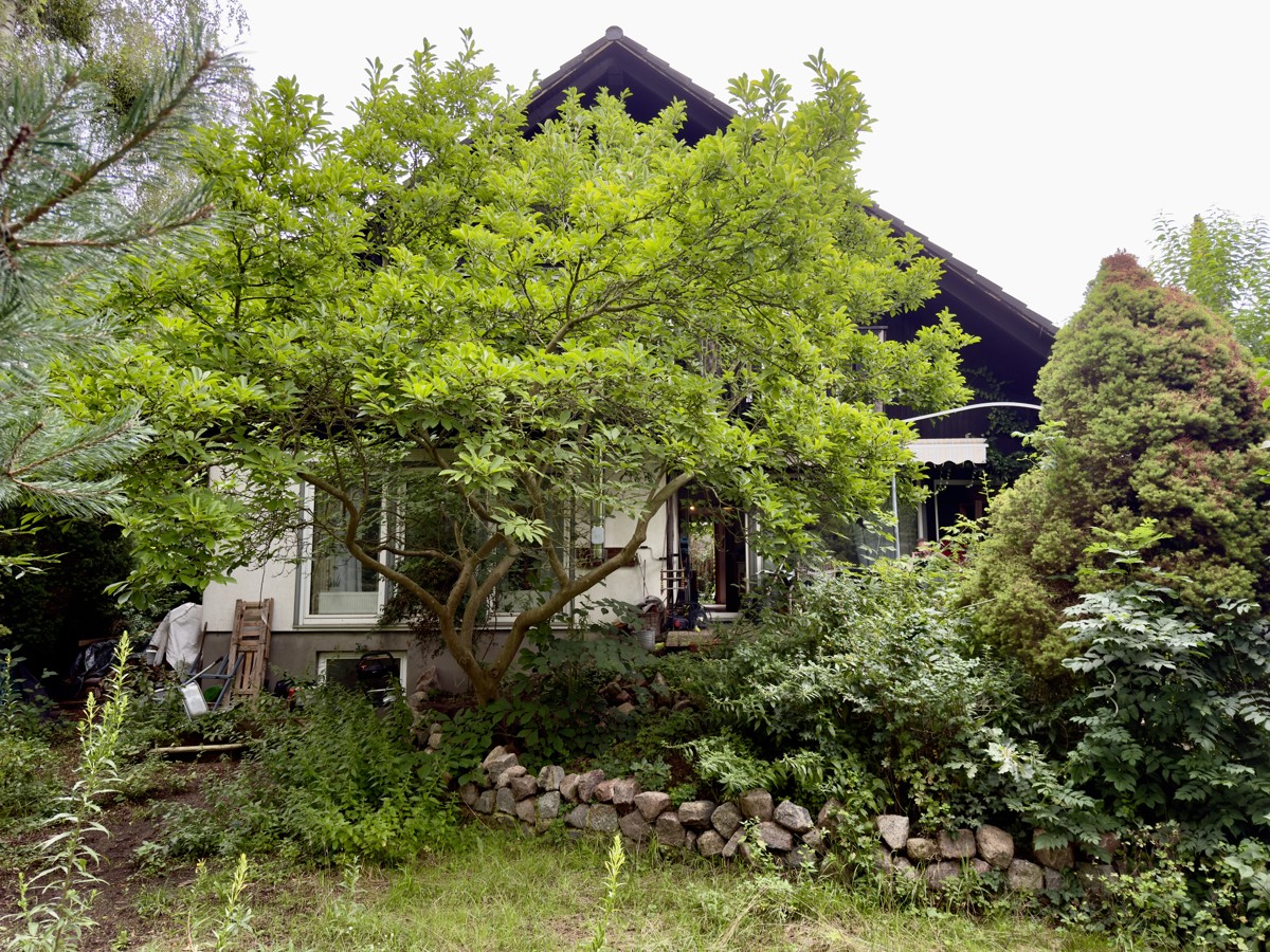 PROVISIONSFREI | Einfamilienhaus für Naturliebhaber im Westen Berlins