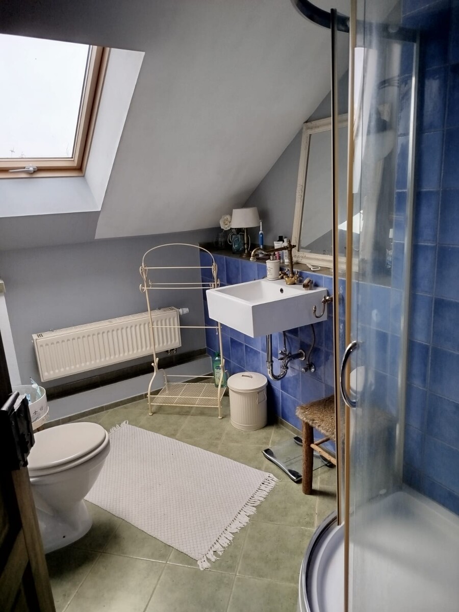 RESERVIERT| Haus mit Geschichte - Wohnen auf 230 m2 plus Ausbauoption - ca. 9300 m2 Grundstück