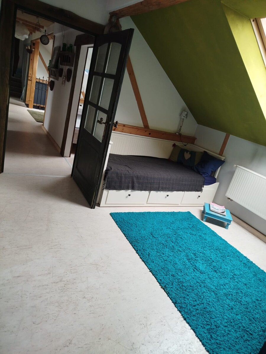 RESERVIERT| Haus mit Geschichte - Wohnen auf 230 m2 plus Ausbauoption - ca. 9300 m2 Grundstück
