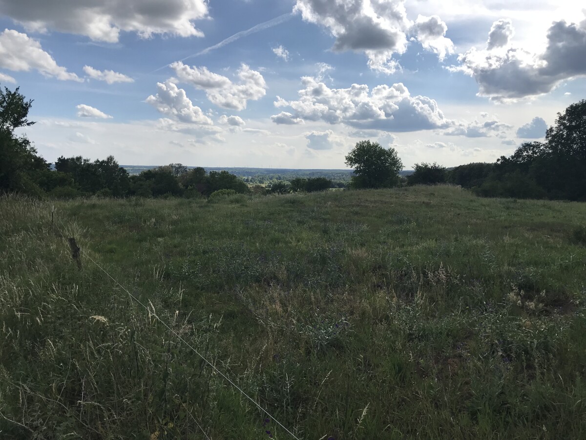 PROVISIONSFREI | Sonniges Hanggrundstück in Südausrichtung – 2.203 m², bauträgerfrei!
