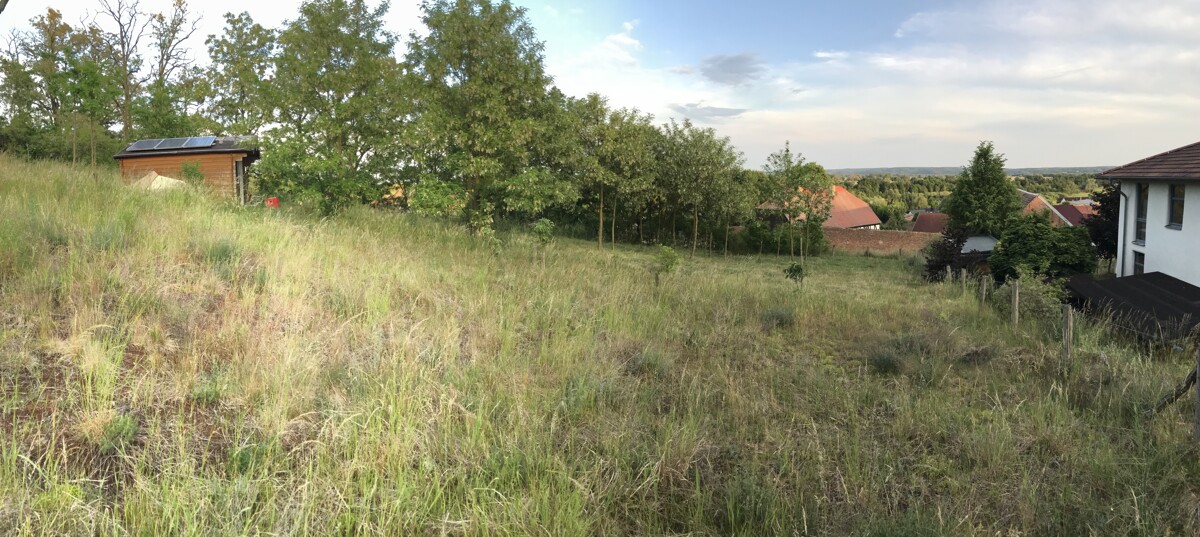 PROVISIONSFREI | Sonniges Hanggrundstück in Südausrichtung – 2.203 m², bauträgerfrei!