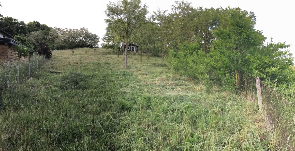 PROVISIONSFREI | Sonniges Hanggrundstück in Südausrichtung – 2.203 m², bauträgerfrei!