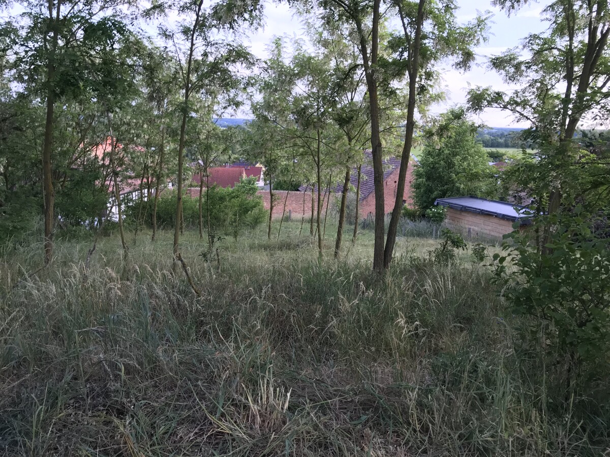 PROVISIONSFREI | Sonniges Hanggrundstück in Südausrichtung – 2.203 m², bauträgerfrei!