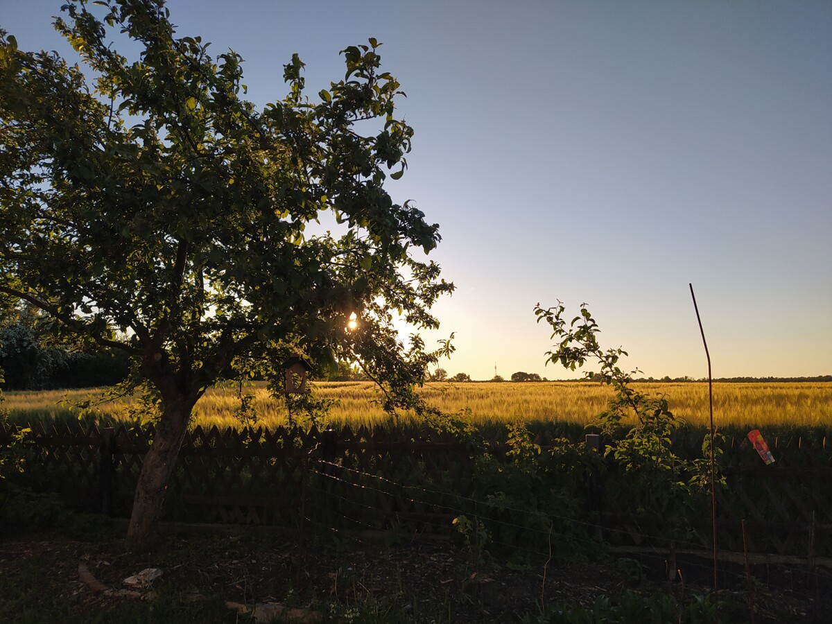 PROVISIONSFREI | Wohnen mit Weitblick: Einfamilienhaus mit traumhafter Feldlage in Werneuchen