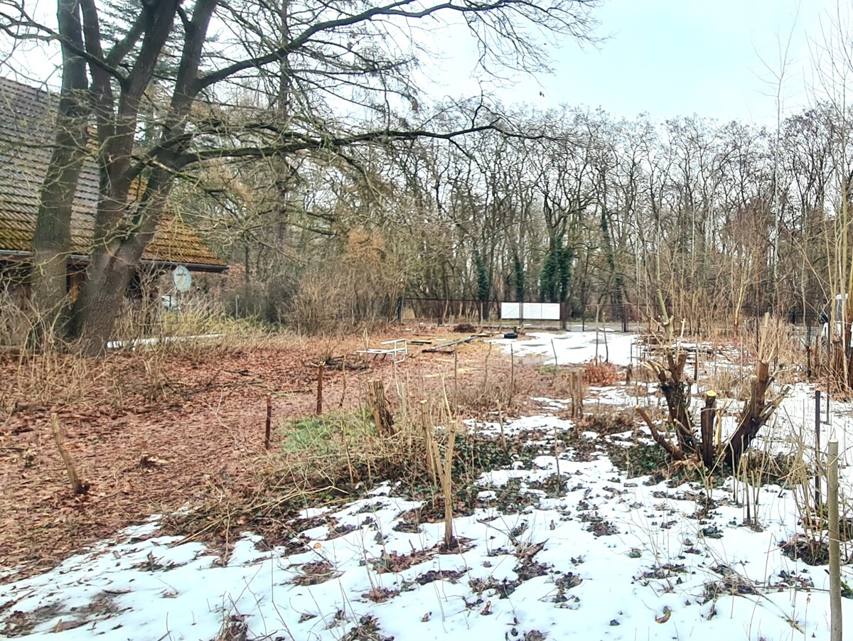 PROVISIONSFREI | 1443 m² Baugrundstück zum Bodenrichtwert in begehrter Wohnlage in Schildow