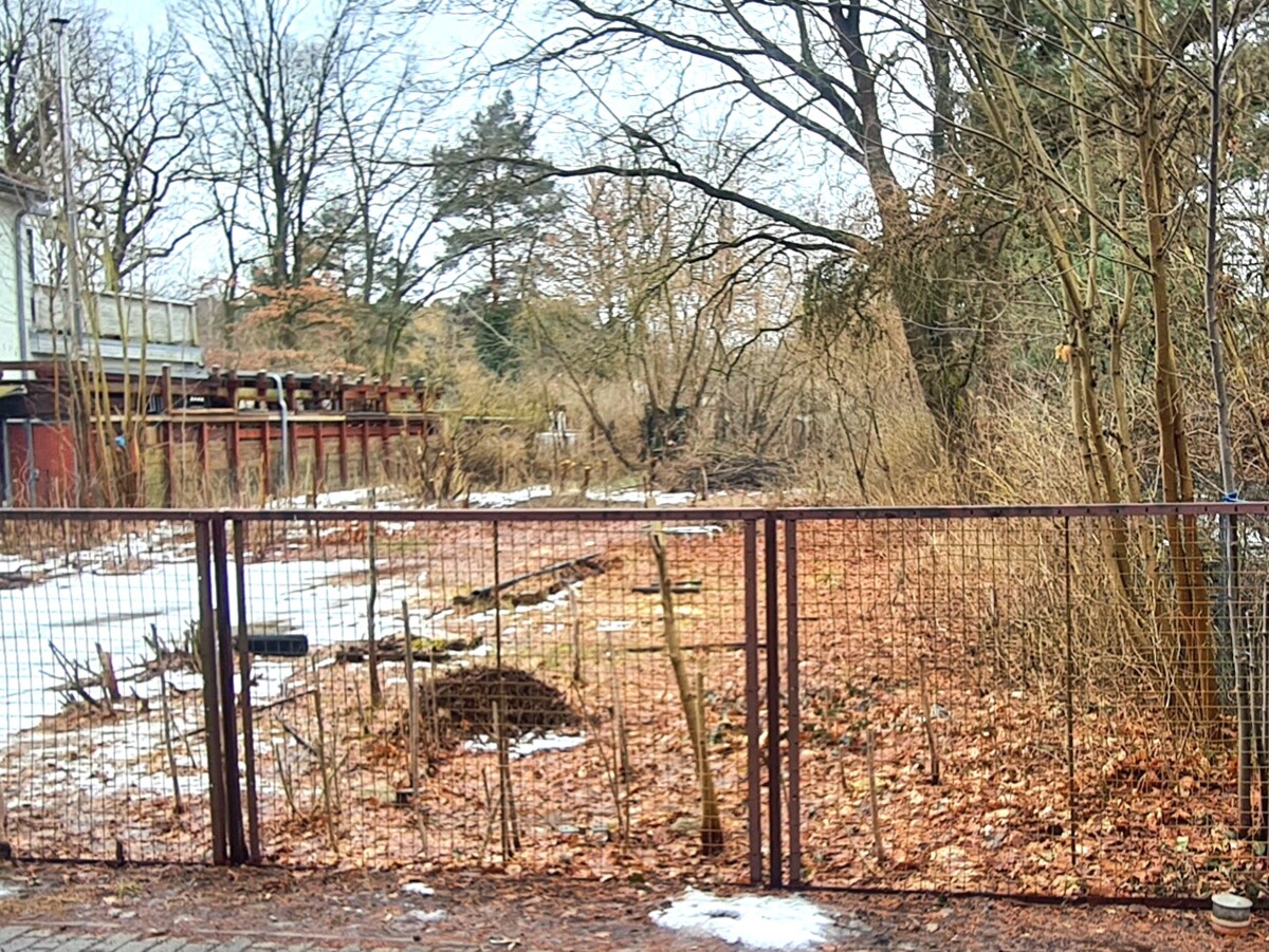 PROVISIONSFREI | 1443 m² Baugrundstück zum Bodenrichtwert in begehrter Wohnlage in Schildow