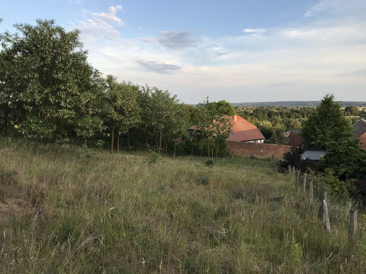 HANGLAGE MIT TRAUMBLICK | Sonniges Süd-Grundstück ohne Provision *** bauträgerfrei ***