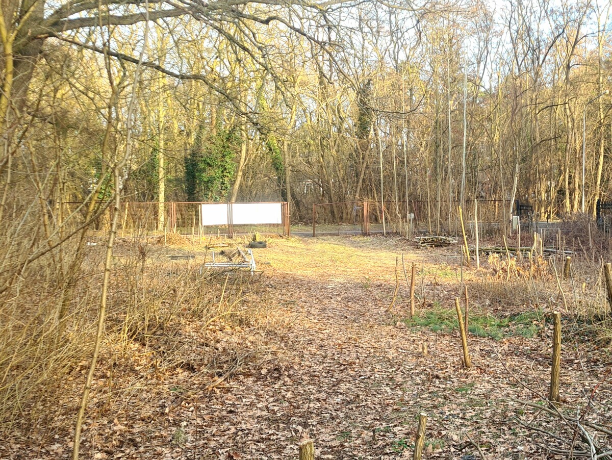 PROVISIONSFREI | 1443 m² Baugrundstück zum Bodenrichtwert in begehrter Wohnlage in Schildow